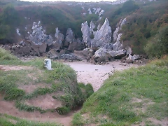 DSCN1315