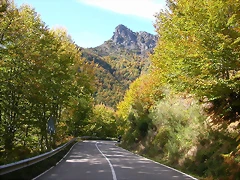 DSCN0922 DSCN0922