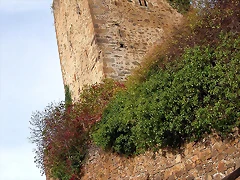 DSCN1130 DSCN1130