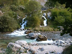 DSCN1016 DSCN1016