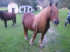 DSCN1306 DSCN1306