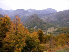 DSCN1485 DSCN1485