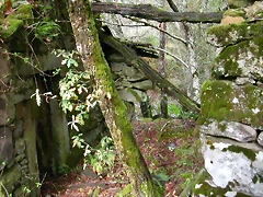 DSCN5762 DSCN5762