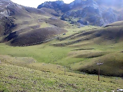 DSCN1174 DSCN1174