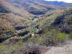 DSCN0920 DSCN0920