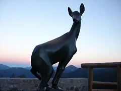 DSCN1092 DSCN1092
