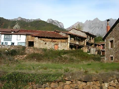 DSCN1133 DSCN1133