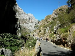 DSCN0966 DSCN0966