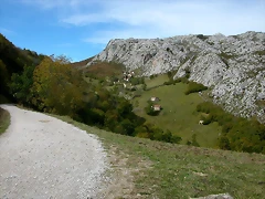 DSCN1207 DSCN1207