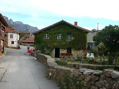 DSCN1125 DSCN1125