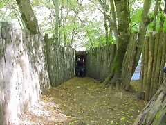 DSCN0961 DSCN0961
