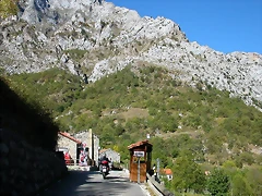 DSCN0973 DSCN0973