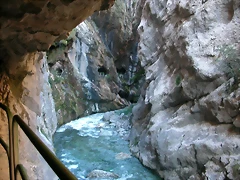 DSCN0995 DSCN0995
