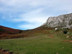 DSCN1196 DSCN1196