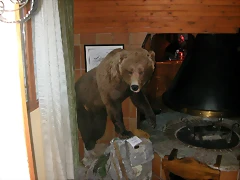 DSCN1069 DSCN1069