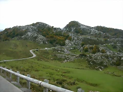 DSCN1385