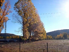 DSCN0787 DSCN0787