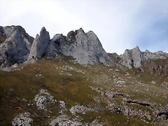 DSCN1195 DSCN1195