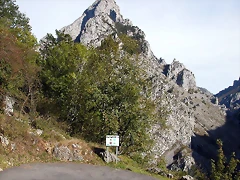 DSCN1241 DSCN1241