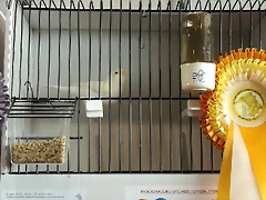IMG_20170122_123724 IMG_20170122_123724