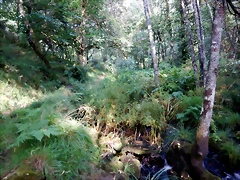 DSCN8453 DSCN8453