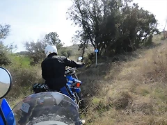 DSC02375