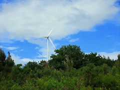 35-IMG_1717 35-IMG_1717