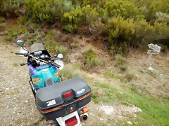 DSCN9919 DSCN9919