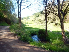 DSCN0064 DSCN0064