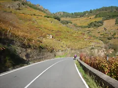 DSCN4721 DSCN4721