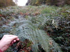 DSCN3755 DSCN3755