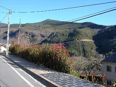 DSCN8045 DSCN8045