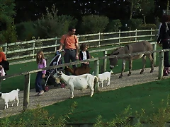 Vacances França-Holanda 644 Vacances França-Holanda 644