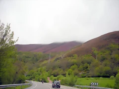 DSCN4921 DSCN4921
