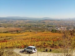 IMG_20161031_121938