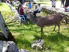 DSCN2617