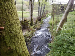 DSCN9334