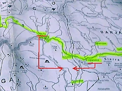 Ruta
