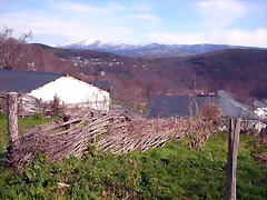 DSCN1614 DSCN1614