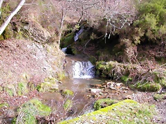 DSCN1646 DSCN1646