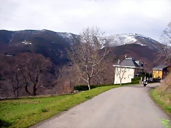 DSCN1596 DSCN1596