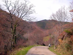 DSCN1604 DSCN1604