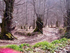 DSCN1616 DSCN1616