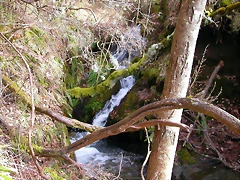 DSCN1648 DSCN1648