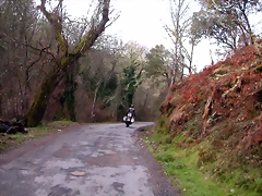 DSCN1590 DSCN1590