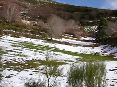 DSCN1661 DSCN1661
