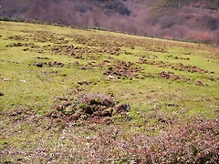 DSCN1697 DSCN1697