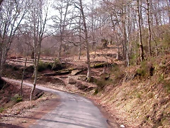 DSCN1595 DSCN1595