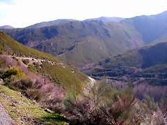 DSCN1701 DSCN1701