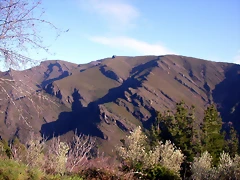 DSCN1811 DSCN1811